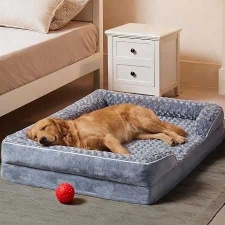 Oudere hond rustend in een zacht, verhoogd hondenbed naast een bed